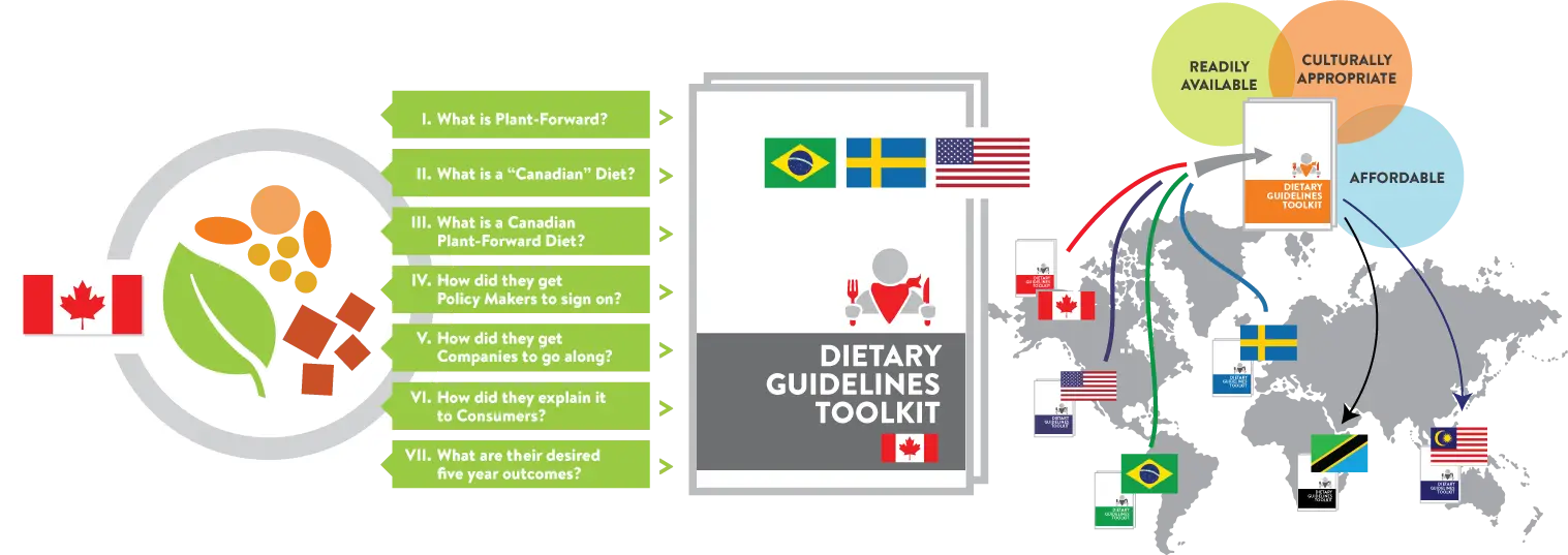 infographic of Dietary Guidelines Toolkit by Digges Design